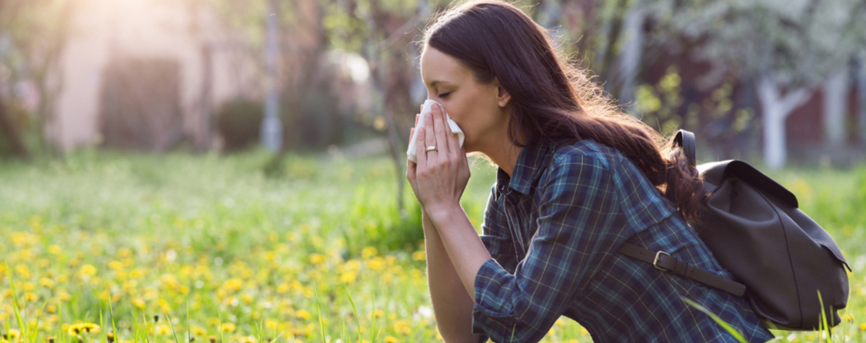 Aparatul de aerosoli si beneficiile lui in alergia la ambrozie